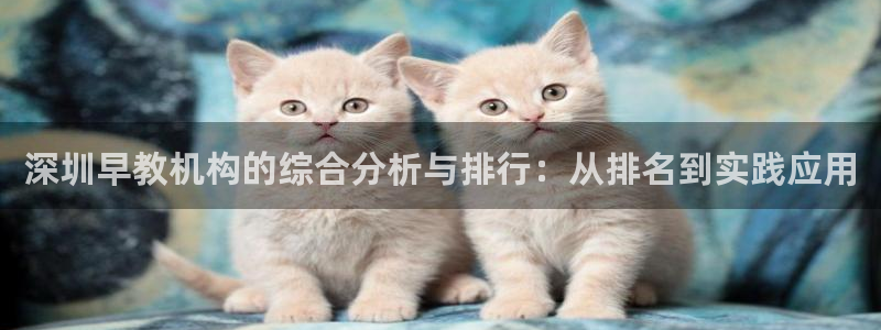 威九国际78mob：深圳早教机构的综合分析与排行：从排名到实践应用