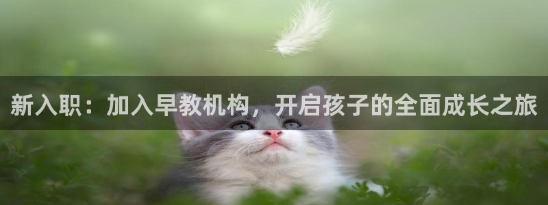 威九国际网站入口rdquo：新入职：加入早教机构，开启孩子的全面成长之旅