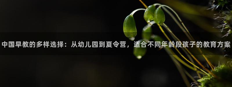 威九国际78mapp官网版下载：中国早教的多样选择：从幼儿园到夏令营，适合不同年