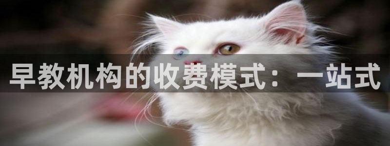 威九国际78mob网页：早教机构的收费模式：一站式