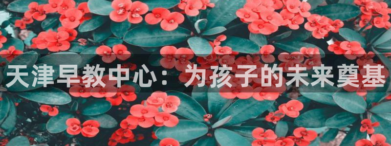 威九国际能提现吗是真的吗：天津早教中心：为孩子的未来奠基