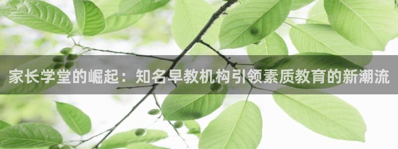 威九国际Info：家长学堂的崛起：知名早教机构引领素质教育的新潮流
