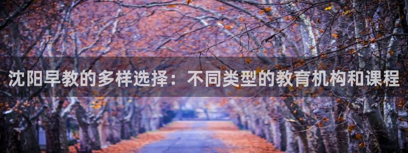 威九国际v9：沈阳早教的多样选择：不同类型的教育机构和课程