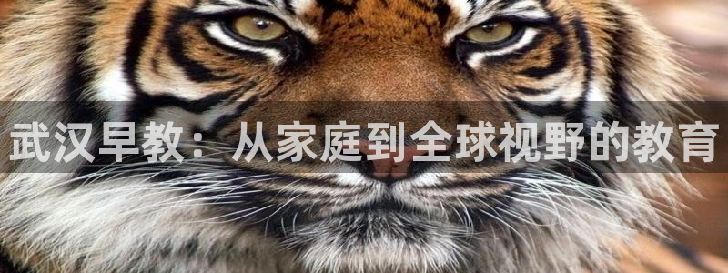 威九国际服:武汉早教:从家庭到全球视野的教育