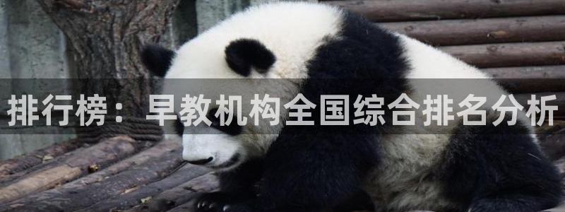 威九国际最受欢迎的功能:排行榜:早教机构全国综合排名分析