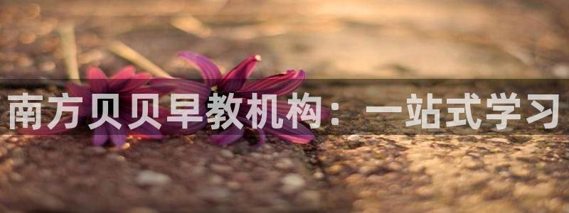 威九国际能提现吗是真的吗:南方贝贝早教机构:一站式学习