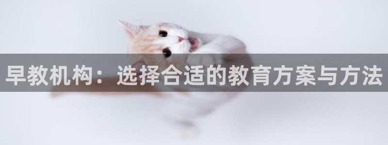 威九国际66mm66:早教机构:选择合适的教育方案与方法