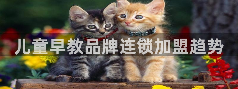 威九国际宣传片:儿童早教品牌连锁加盟趋势