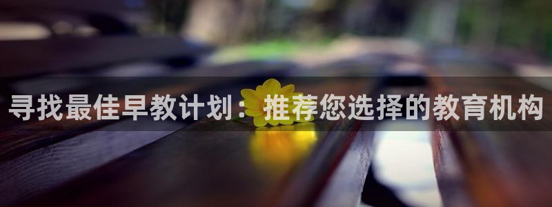 威九国际提款不出来:寻找最佳早教计划:推荐您选择的教育机构