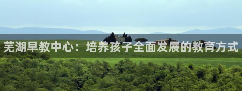 威九国际安全吗的认证团队：芜湖早教中心：培养孩子全面发展的教育方式