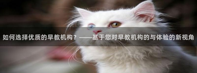 威九国际网站入口&rdpuo：如何选择优质的早教机构？——基于您对早教机构的与体