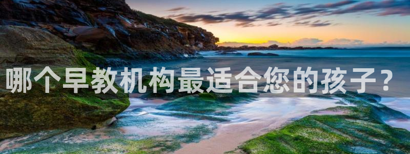 威九国际PPT：哪个早教机构最适合您的孩子？