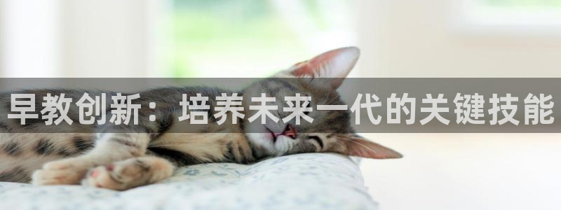 威九国际网站进入客服中心了吗：早教创新：培养未来一代的关键技能