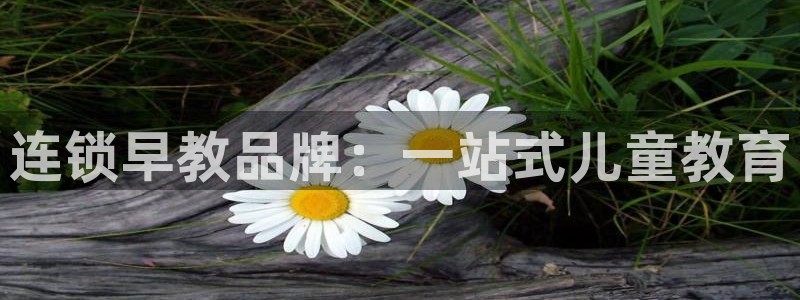 78mppt威九国际：连锁早教品牌：一站式儿童教育