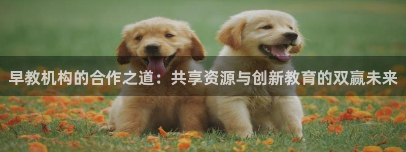 威九国际电视怎么样：早教机构的合作之道：共享资源与创新教育的双赢未来