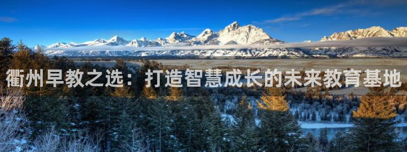 威九国际合作伙伴有哪些：衢州早教之选：打造智慧成长的未来教育基地