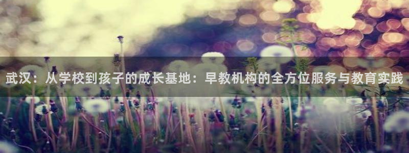 威九国际66m66模式视频：武汉：从学校到孩子的成长基地：早教机构的全方位服务与
