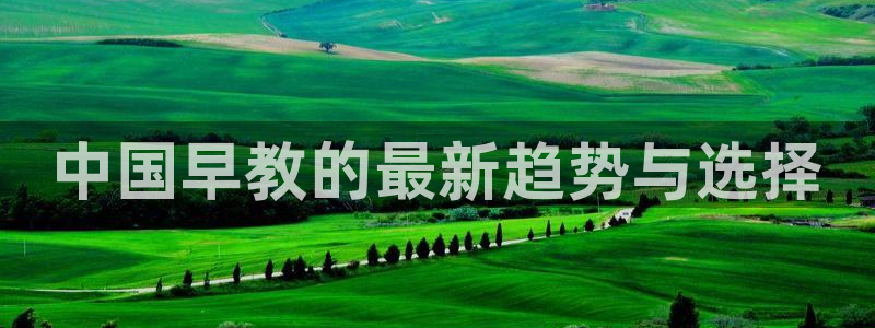 威九国际v96 bet会黑吗：中国早教的最新趋势与选择