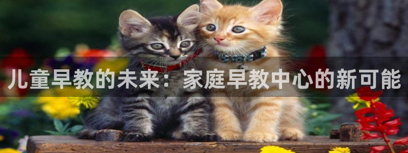 78mapp威九国际官网：儿童早教的未来：家庭早教中心的新可能