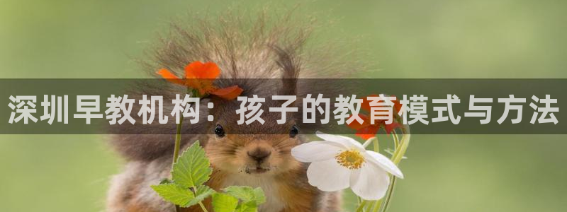 威九国际66cm：深圳早教机构：孩子的教育模式与方法