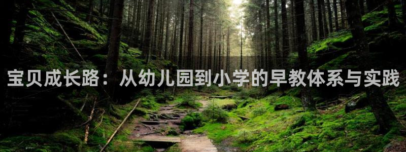 威九国际提款不出来：宝贝成长路：从幼儿园到小学的早教体系与实践