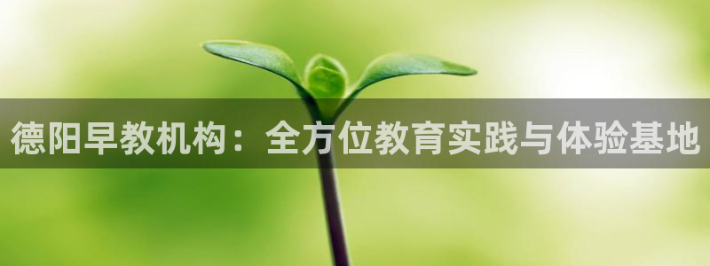 威九国际客服电话是多少：德阳早教机构：全方位教育实践与体验基地