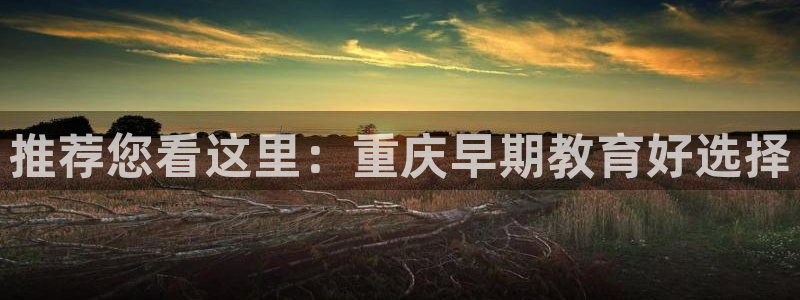 威九国际小说：推荐您看这里：重庆早期教育好选择