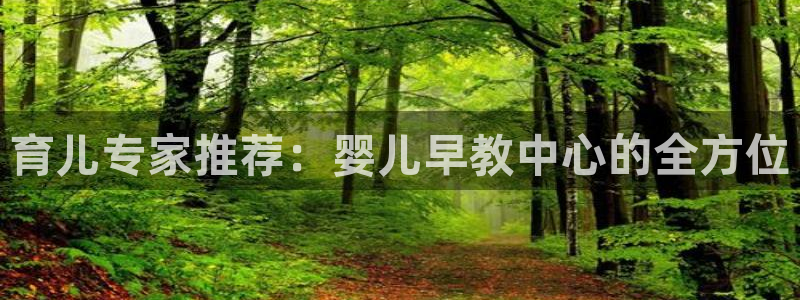 威九国际网页看视频弹窗的广告拦截插件：育儿专家推荐：婴儿早教中心的全方位