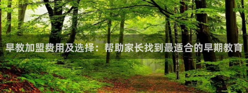 威九国际高清：早教加盟费用及选择：帮助家长找到最适合的早期教育