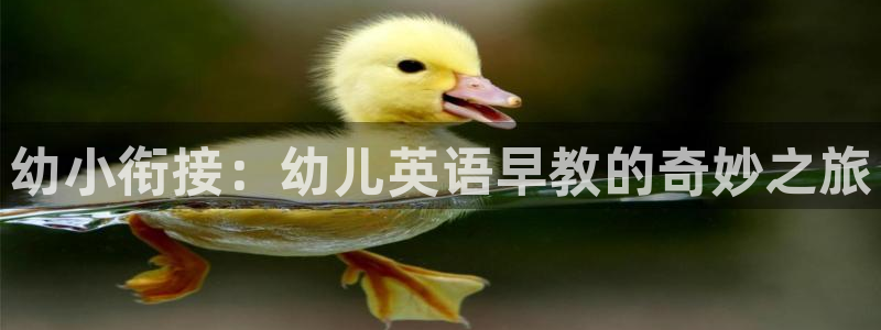 威九国际电影HD:幼小衔接:幼儿英语早教的奇妙之旅