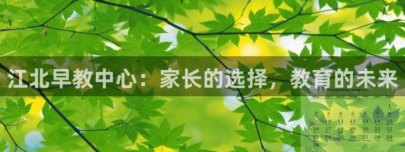 威九国际成长模式:江北早教中心:家长的选择,教育的未来