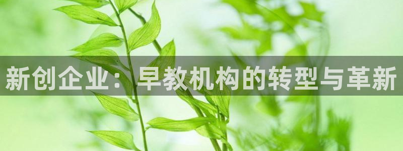 威九国际动漫:新创企业:早教机构的转型与革新
