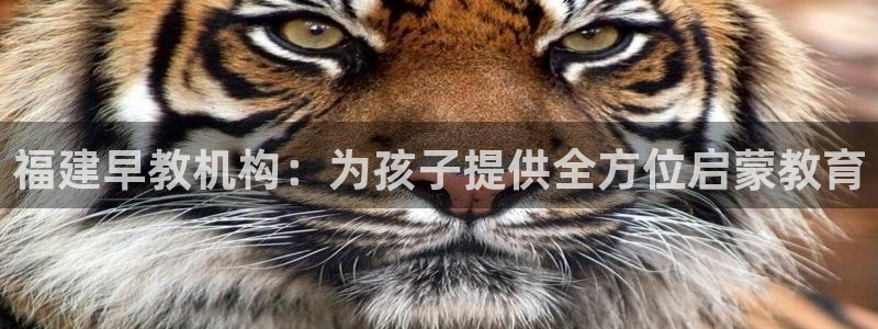 威九国际游戏app(网站):福建早教机构:为孩子提供全方位启蒙教育