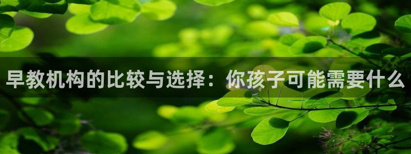 威九国际：早教机构的比较与选择：你孩子可能需要什么