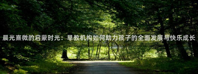 威九国际网站经常打不开网页：晨光熹微的启蒙时光：早教机构如何助力孩子的全面发展与