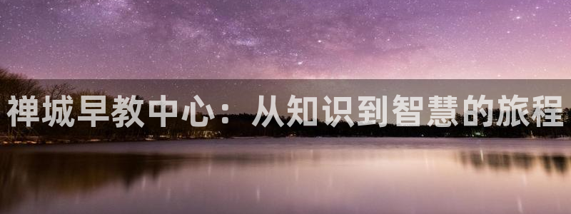 保定威九网络科技有限公司：禅城早教中心：从知识到智慧的旅程