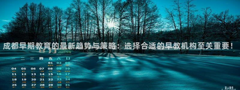 威九国际网站客服电话多少啊：成都早期教育的最新趋势与策略：选择合适的早教机构至关