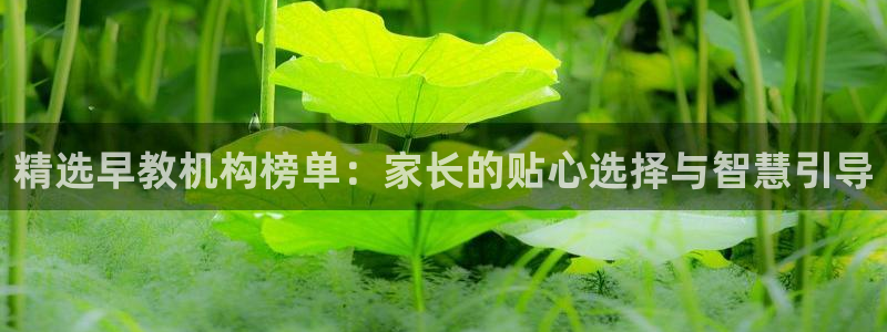 威九国际66视频：精选早教机构榜单：家长的贴心选择与智慧引导