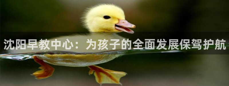 威九国际78mb游戏：沈阳早教中心：为孩子的全面发展保驾护航