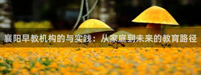 威九国际v96.81t：襄阳早教机构的与实践：从家庭到未来的教育路径