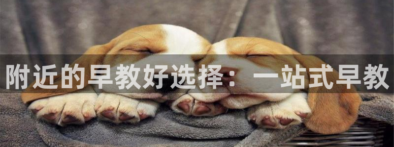 威九国际图片：附近的早教好选择：一站式早教