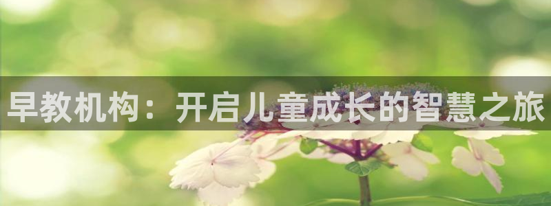 威九国际网站登录：早教机构：开启儿童成长的智慧之旅