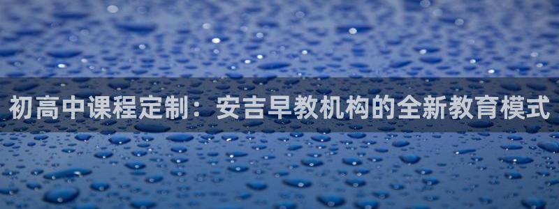 保定威九网络科技有限公司怎么样：初高中课程定制：安吉早教机构的全新教育模式
