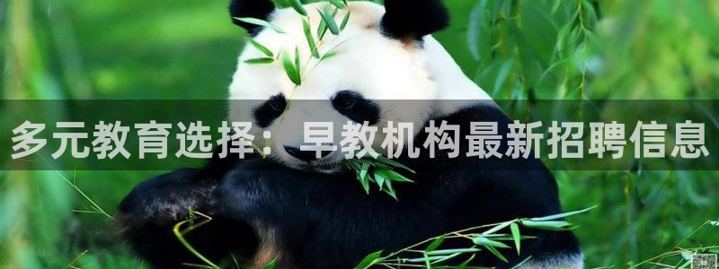 威九国际的金融服务怎么样：多元教育选择：早教机构最新招聘信息