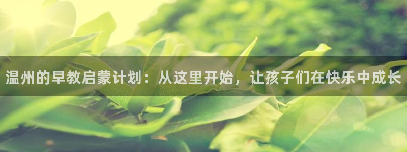 威九国际软件公司简介：温州的早教启蒙计划：从这里开始，让孩子们在快乐中成长