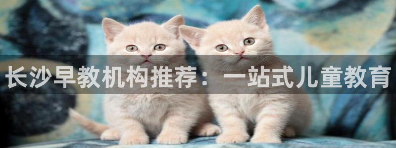威九国际全国空降：长沙早教机构推荐：一站式儿童教育