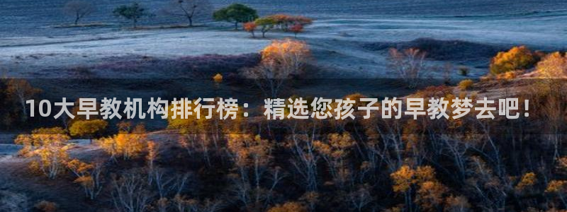 威九国际78mapp：10大早教机构排行榜：精选您孩子的早教梦去吧！
