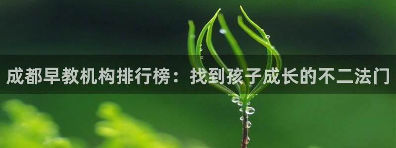 威九国际男演员：成都早教机构排行榜：找到孩子成长的不二法门