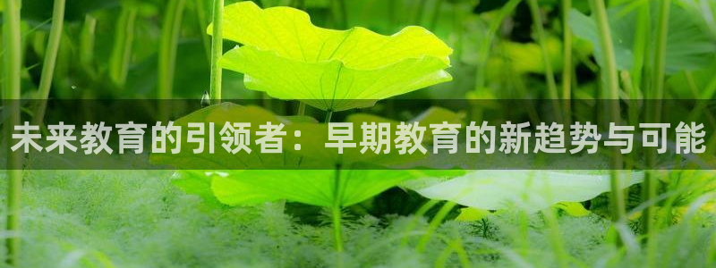 威九国际78mob游戏亮点：未来教育的引领者：早期教育的新趋势与可能