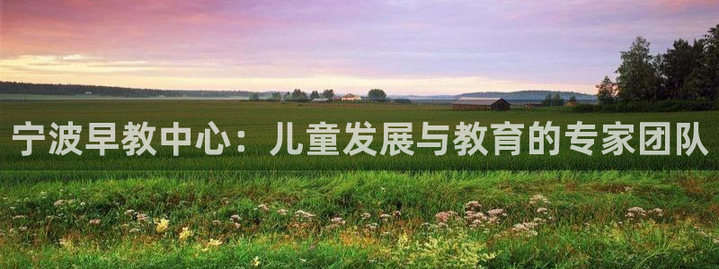 威九国际如何下载：宁波早教中心：儿童发展与教育的专家团队